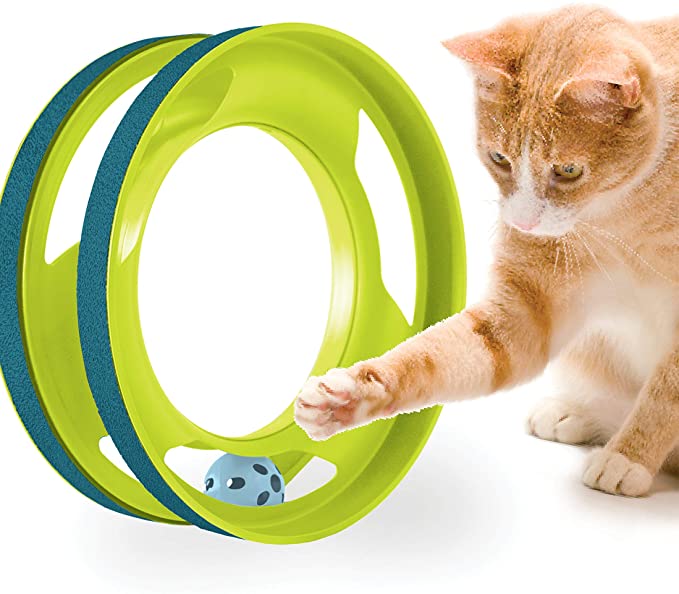 Juego interactivo de Cat pista circular con bolas en movimiento para 