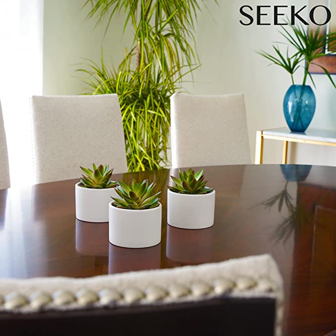 SEEKO - Paquete de 3 suculentas artificiales para plantas artificiales en  maceta, suculentas artificiales realistas, perfectas para plantas de  escritorio pequeñas, oficina en casa, cocina, estante de libros o  decoración de baño (