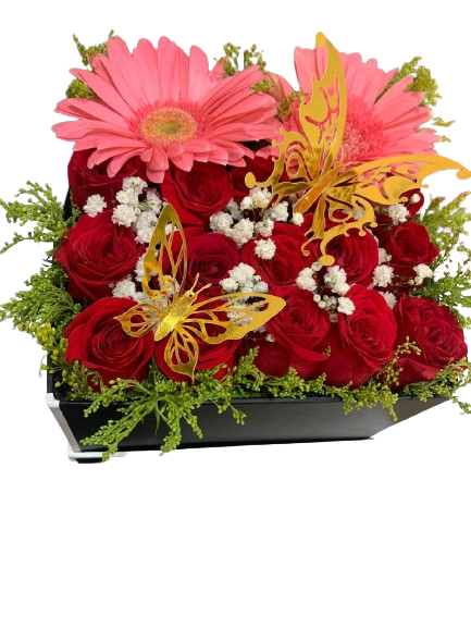 Box Rosas y Gerberas