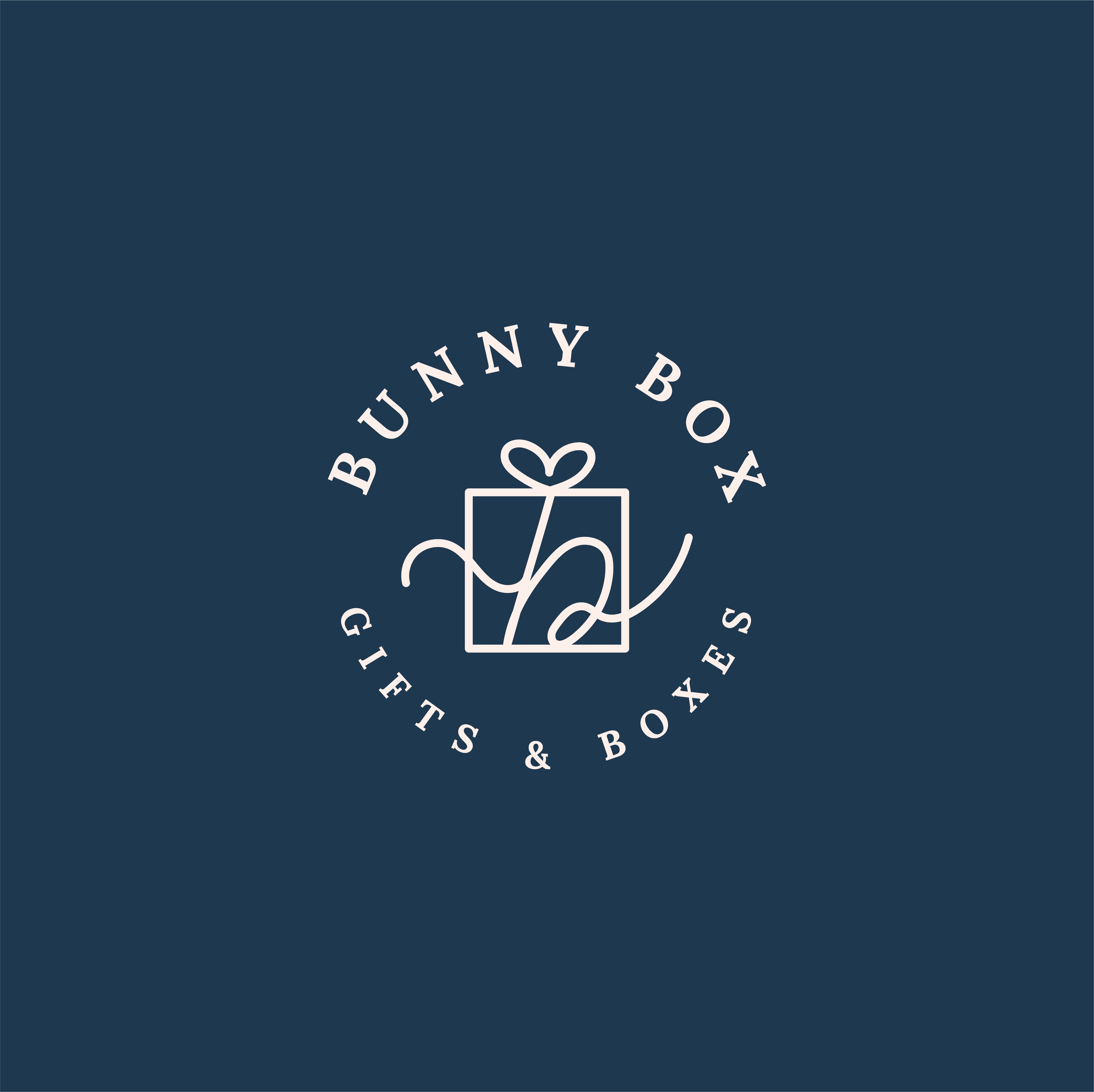 Bunny Box Regalos