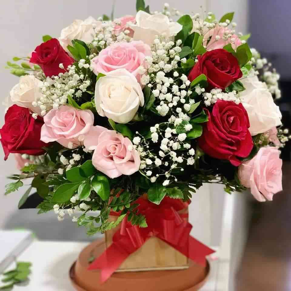 Box de 36 rosas